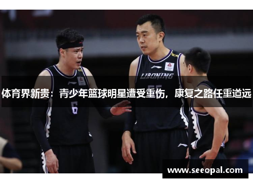 体育界新贵：青少年篮球明星遭受重伤，康复之路任重道远